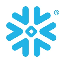 Snowflake for AI company