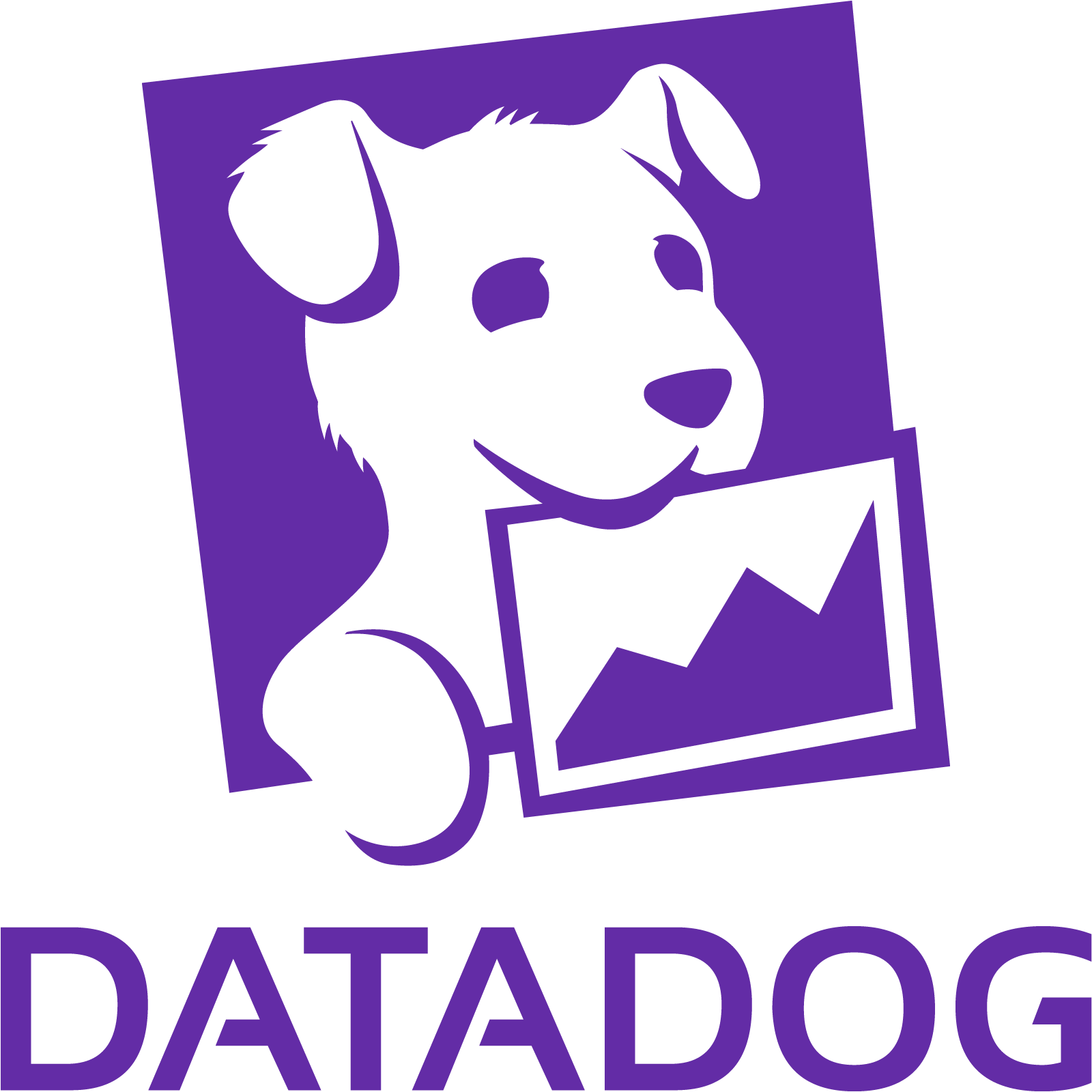 Datadog AI Cost Monitoring company