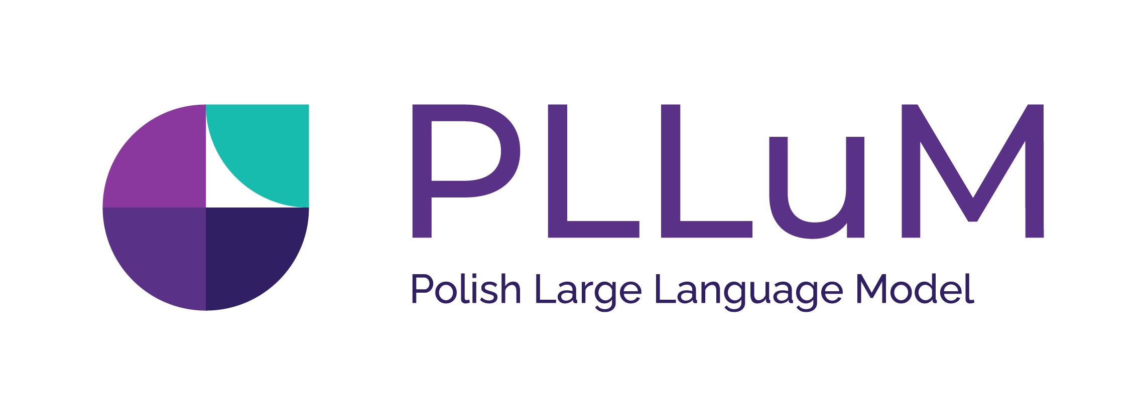 Polish Large Language Model company
