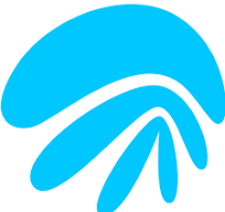 AirJelly company