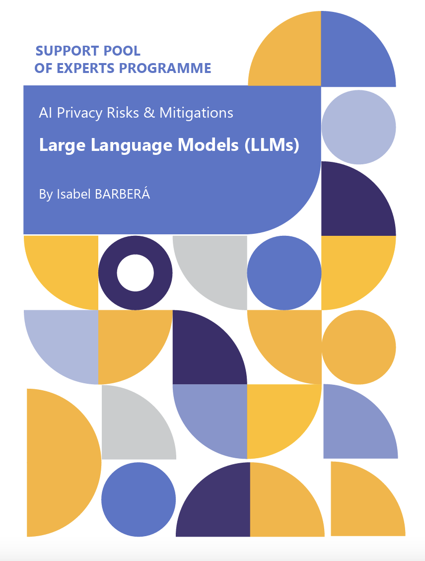 AI Privacy Risks & Mitigations – Large Language Models (LLMs) company