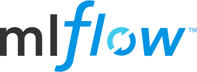 MLFlow company