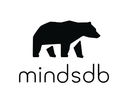 MindsDB company