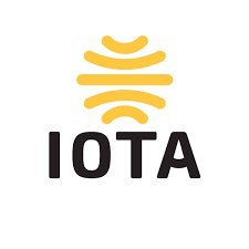 Immediate Supply of Information company