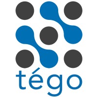 Tego Cyber company