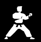 Karate company