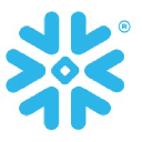 Snowflake company