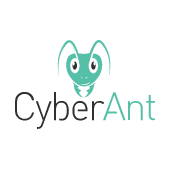 CyberAnt Website Security Check company