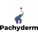 Pachyderm company