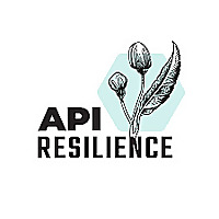 API Resilience company