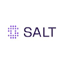 Salt Security company