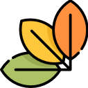 RapiPdf company